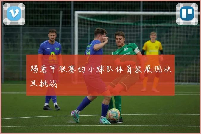 踢意甲联赛的小球队体育发展现状及挑战